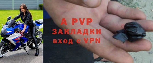 ешки Арсеньев